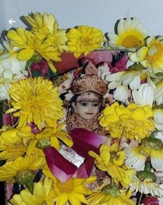 24 को शहर भ्रमण पर निकलेंगीं मां पीतांबरा