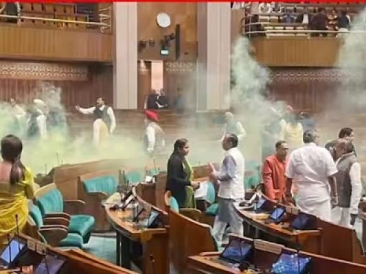  ई-रिक्शा चलाता है संसद में घुसकर धुंआ फैलाने वाला युवक