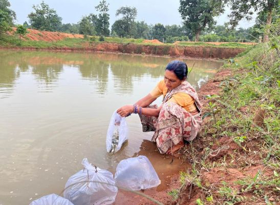राष्ट्रपति श्रीमती द्रौपदी मुर्मु 22 अक्टूबर को करेंगी कांकेर की मासुलपानी पंचायत को राष्ट्रीय जल पुरस्कार से सम्मानित