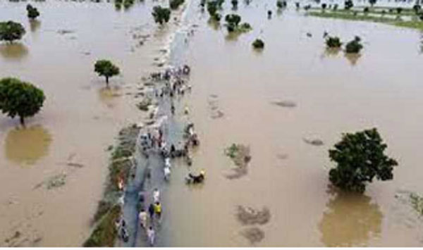 ब्राजील में उष्णकटिबंधीय चक्रवात से 44 लोगों की मौत