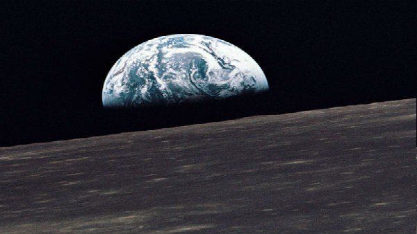  Mass Extinction: महाविनाश के छठे दौर की ओर बढ़ रही पृथ्वी, इंसानी प्रजाति पर मंडराया खतरा