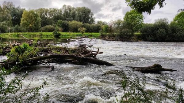  बाढ़ का कहर: कीचड़ धंसने से 115 लोगों की मौत